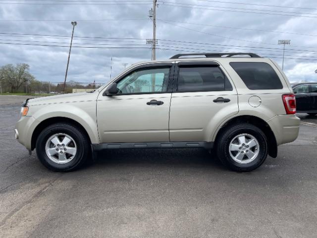 2010 Gold Leaf Metallic Ford Escape XLS FWD (1FMCU0C74AK) with an 2.5L L4 DOHC 16V engine, located at 1184 Kauffman Ave, Fairborn, OH, 45324, (937) 908-9800, 39.807072, -84.030914 - Photo #4