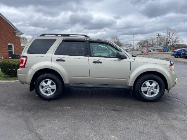 2010 Gold Leaf Metallic Ford Escape XLS FWD (1FMCU0C74AK) with an 2.5L L4 DOHC 16V engine, located at 1184 Kauffman Ave, Fairborn, OH, 45324, (937) 908-9800, 39.807072, -84.030914 - Photo #6