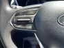 2019 Hyundai Santa Fe SE 2.4 AWD (5NMS2CAD9KH) with an 2.4L L4 DOHC 16V engine, 8-Speed Automatic transmission, located at 8750 N County Rd 25A, Piqua, OH, 45356, (937) 908-9800, 40.164391, -84.232513 - 2019 Hyundai Santa Fe SE 2.4 AWD - Photo#16