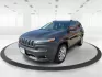 2014 Jeep Cherokee Limited 4WD (1C4PJMDBXEW) with an 2.4L L4 DOHC 16V engine, 9-Speed Automatic transmission, located at 880 E. National Road, Vandalia, OH, 45377, (937) 908-9800, 39.891918, -84.183594 - Photo#7