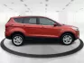 2019 Ford Escape SE (1FMCU9GD7KU) with an Other engine, located at 1951 S Dayton Lakeview Rd., New Carlisle, OH, 45344, (937) 908-9800, 39.890999, -84.050255 - Photo#1