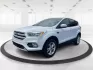 2019 Ford Escape SE (1FMCU9GD2KU) with an Other engine, located at 1951 S Dayton Lakeview Rd., New Carlisle, OH, 45344, (937) 908-9800, 39.890999, -84.050255 - **Discover Your Next Adventure with the 2019 Ford Escape SE at Advantage Car and Credit!**<br /> <br /> Are you ready to elevate your daily drives and weekend adventures? The 2019 Ford Escape SE is designed for those who crave versatility and comfort in their rides, making it an ideal choice for fam - Photo#8